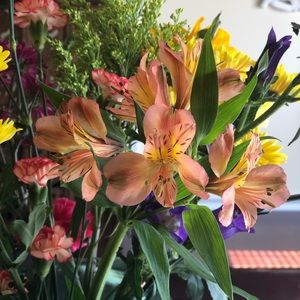 Meet your Posher, Gul